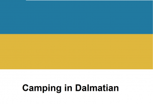 Camping in Dalmatian