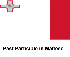 Past Participle in Maltese