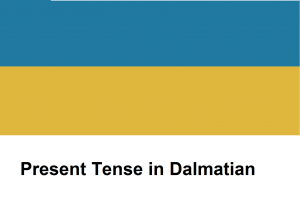 Present Tense in Dalmatian