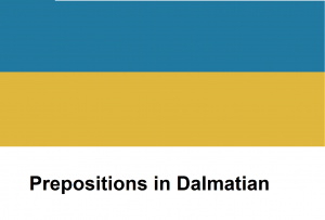 Prepositions in Dalmatian