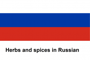 Herbs and spices in Russian