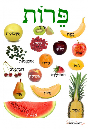 Fruits-hebrew-polyglotclub.jpg