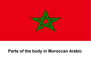 Parts of the body in Moroccan Arabic