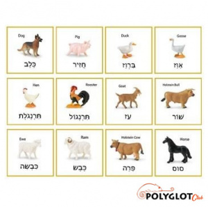 Animals-hebrew-polyglotclub.jpg