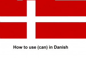 How to use (can) in Danish