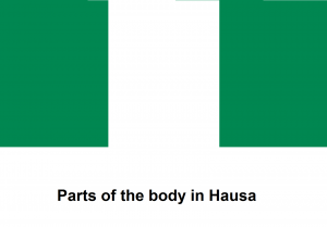 Parts of the body in Hausa