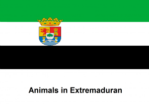 Animals in Extremaduran