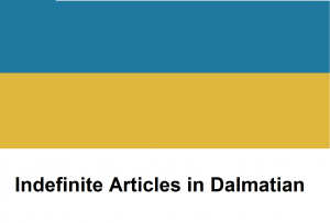 Indefinite Articles in Dalmatian