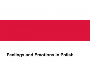 Feelings and Emotions in Polish