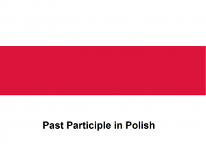 Past Participle in Polish