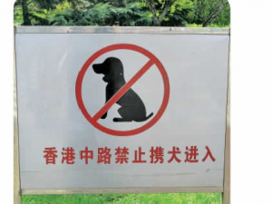 Chinese Dog Forbidden PolyglotClub.jpg