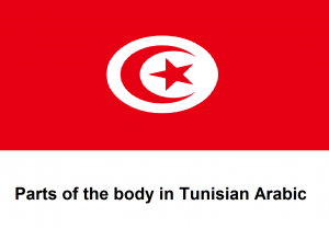 Parts of the body in Tunisian Arabic
