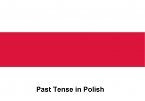 Past Tense in Polish