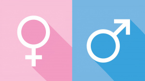 300px Gender Of Nouns French PolyglotClub 