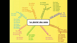 Le-pluriel-des-noms-Learn-french-PolyglotClub.jpg