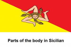 Parts of the body in Sicilian