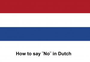 How to say ¨No¨ in Dutch.png
