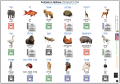 Animals-Hebrew-Language-PolyglotClub.png