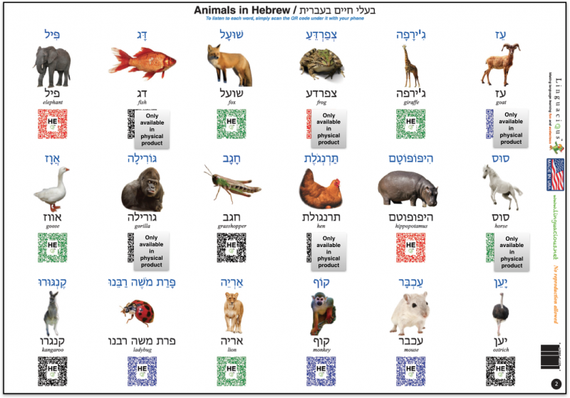 File:Animals-Hebrew-Language-PolyglotClub.png