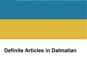 Definite Articles in Dalmatian