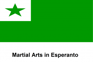 Martial Arts in Esperanto