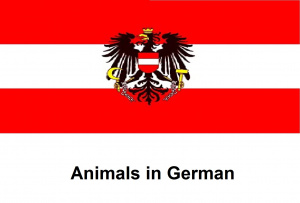 Animals in German