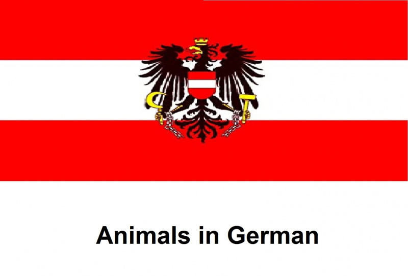 File:Animals in German.jpg