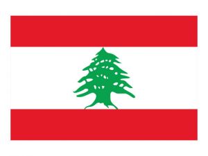 Lebanese-Arabic-PolyglotClub.jpg