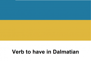 Verb to have in Dalmatian