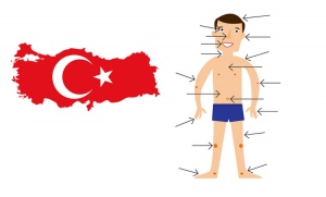 Parts-of-the-body-in-turkish.jpg
