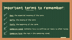 7cc575 9b849dccd1104491a2fb1e6ec4864a6e~mv2.gif