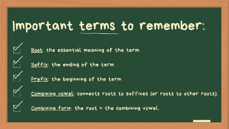File:7cc575 9b849dccd1104491a2fb1e6ec4864a6e~mv2.gif