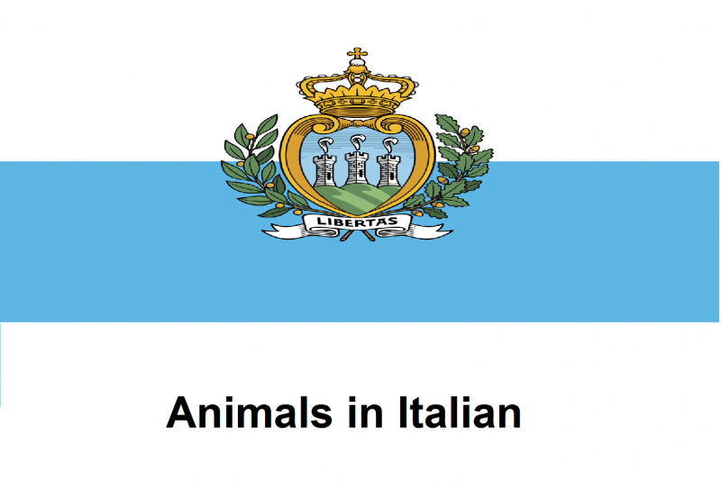 File:Animals in Italian.png