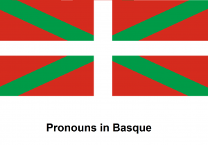 Pronouns in Basque
