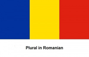 Plural in Romanian
