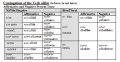 Amharic-Language-Conjugation-to-Have-PolyglotClub.jpg