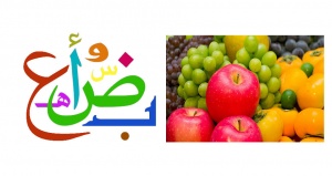 Arabic-fruits.jpg