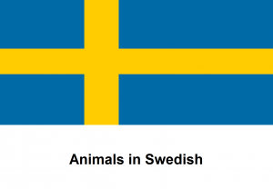 Animals in Swedish