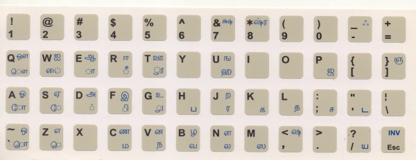Tamil-Inscript-Layout.jpg