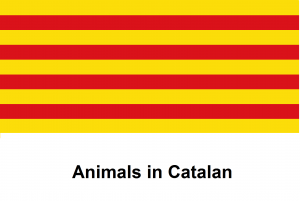 Animals in Catalan