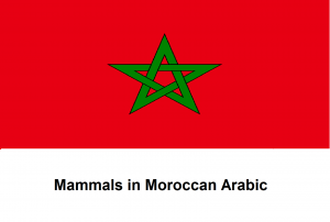 Mammals in Moroccan Arabic