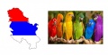 Serbian-birds.jpg
