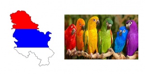 Serbian-birds.jpg