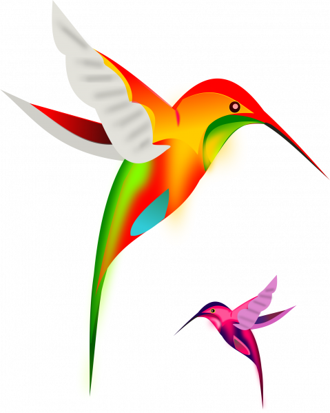 File:Birds.png