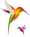 Birds.png