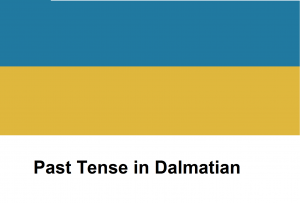 Past Tense in Dalmatian