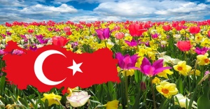 Spring-vocabulary-in-turkish.jpg