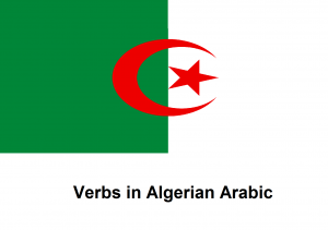 Verbs in Algerian Arabic