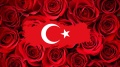 Flowers-turkish.jpg