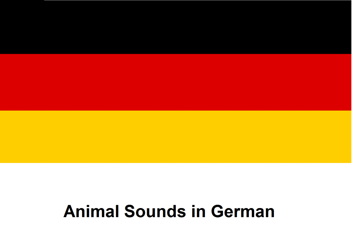 German Vocabulary - Animal Sounds German Vocabulary - Animal Sounds